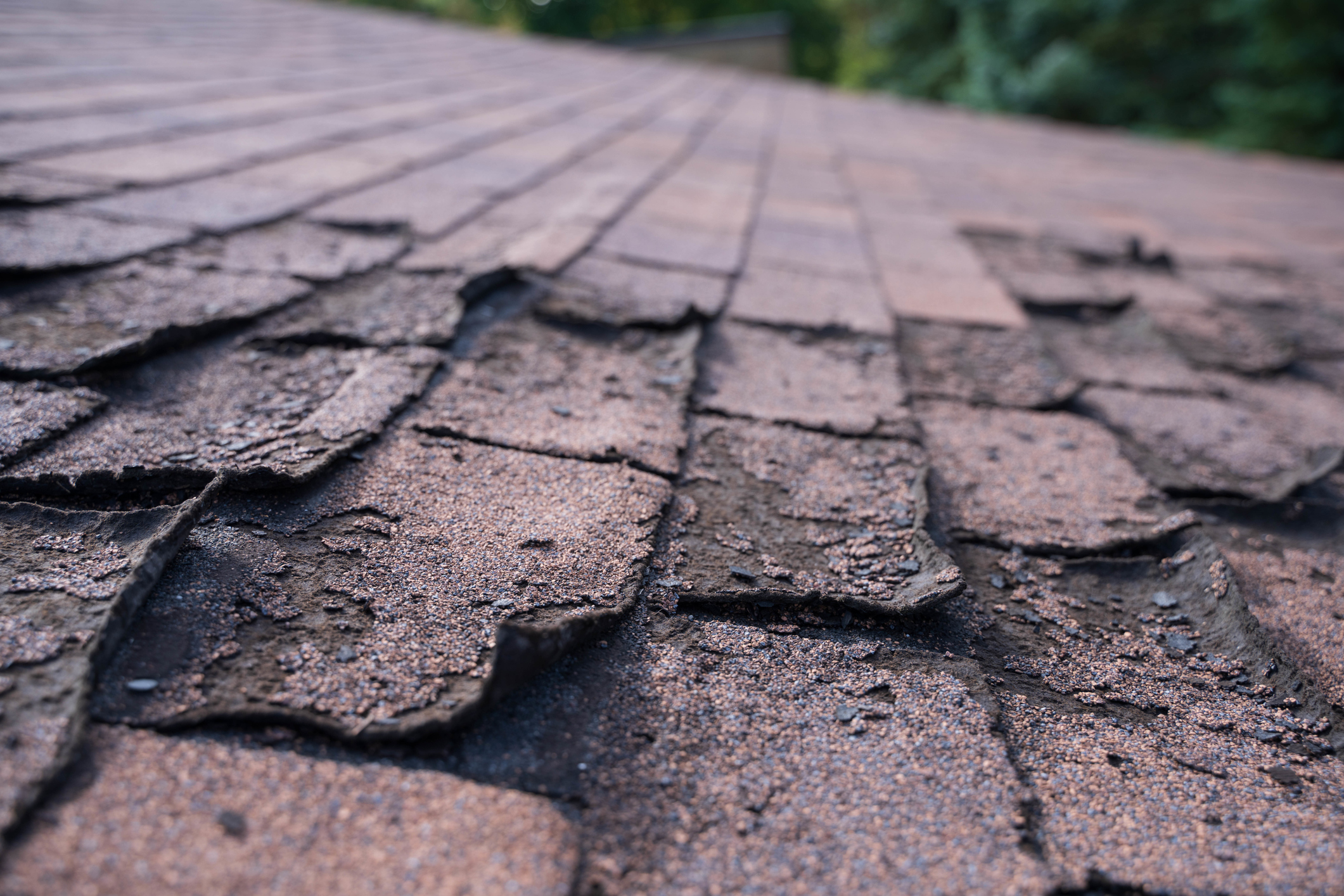 Tile Roof